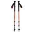 Snygga och praktiska Black Diamond Trail Back vandringsstavar teleskop ihopfällda