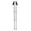ett par Black Diamond Explorer 3 Trekking Poles vandringsstavar