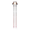 ett par Black Diamond Pursuit Flz Trekking Poles vandringsstavar